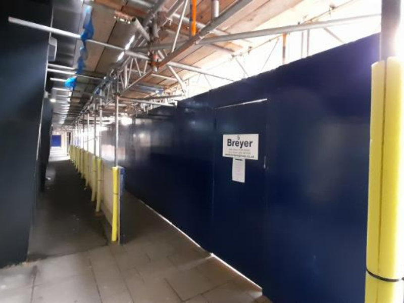 Breyer Group – Phase 1 – March 8th Update